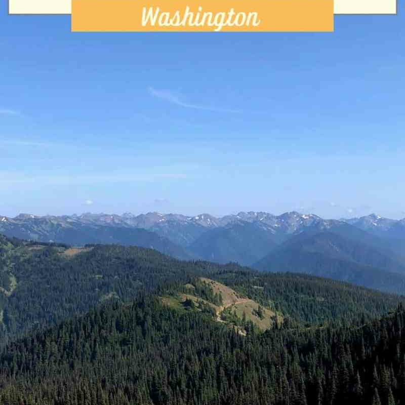 Best Day Hikes In Olympic National Park