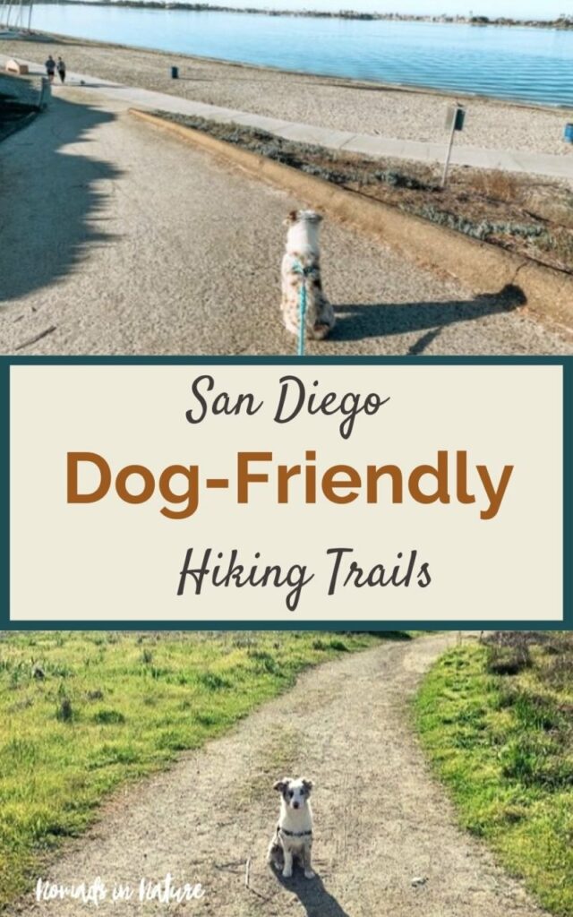 Best Dog Friendly Backpacking Trips