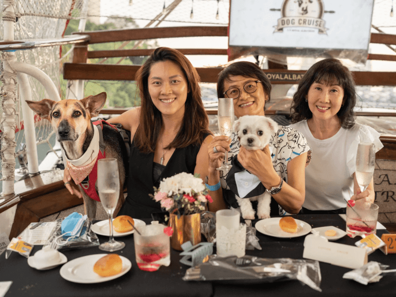 Best Dog Friendly Eateries Near Me