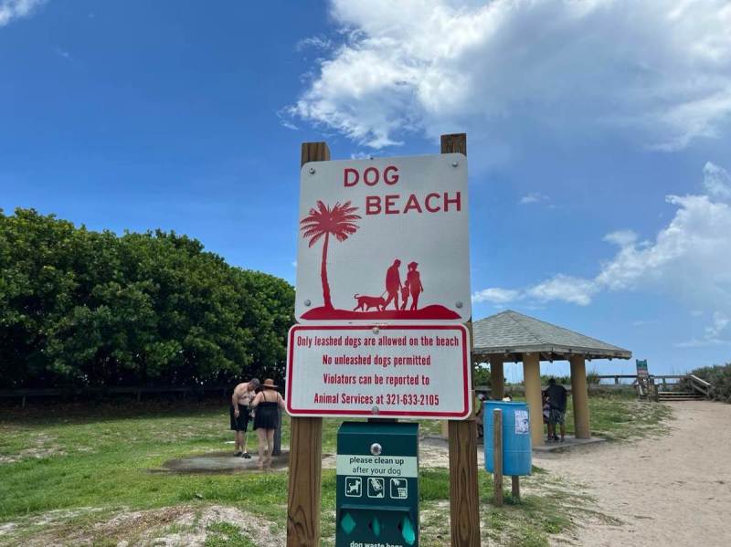 Best Dog Friendly Resorts In Florida