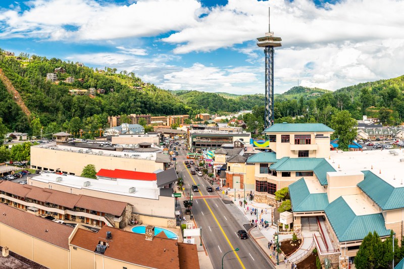 Best Dog Friendly Resorts In Gatlinburg