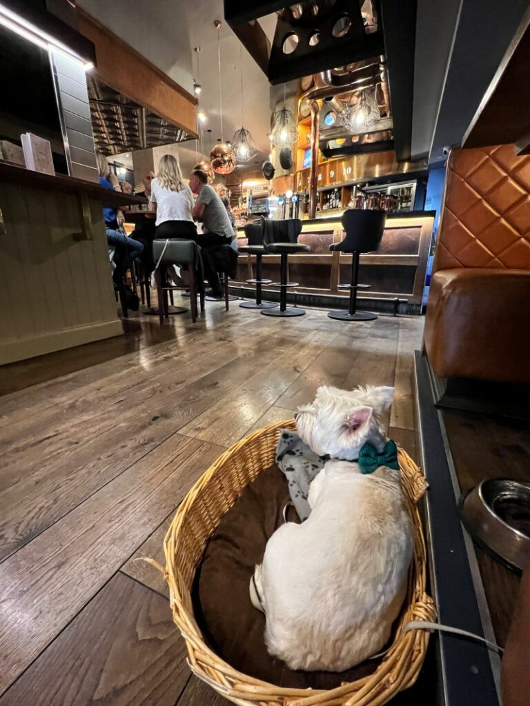 Best Dog Friendly Restaurants Edinburgh