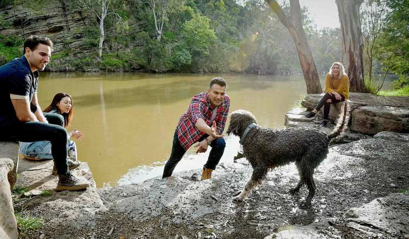 Best Dog Friendly Swimming Holes Near Me