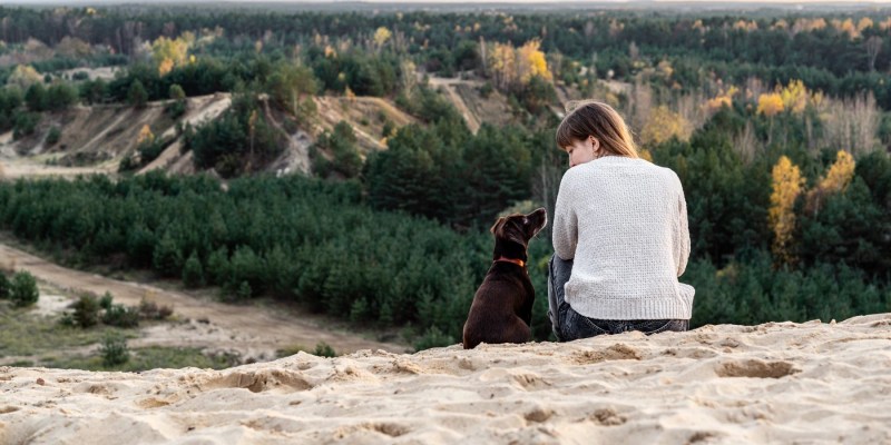 Best Dog Friendly Vacation Spots