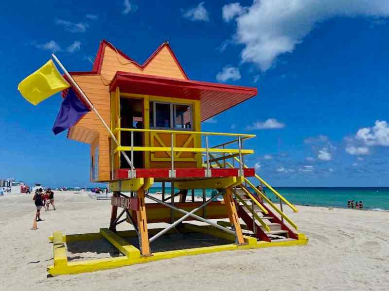 Dog Friendly Beaches On East Coast Of Florida