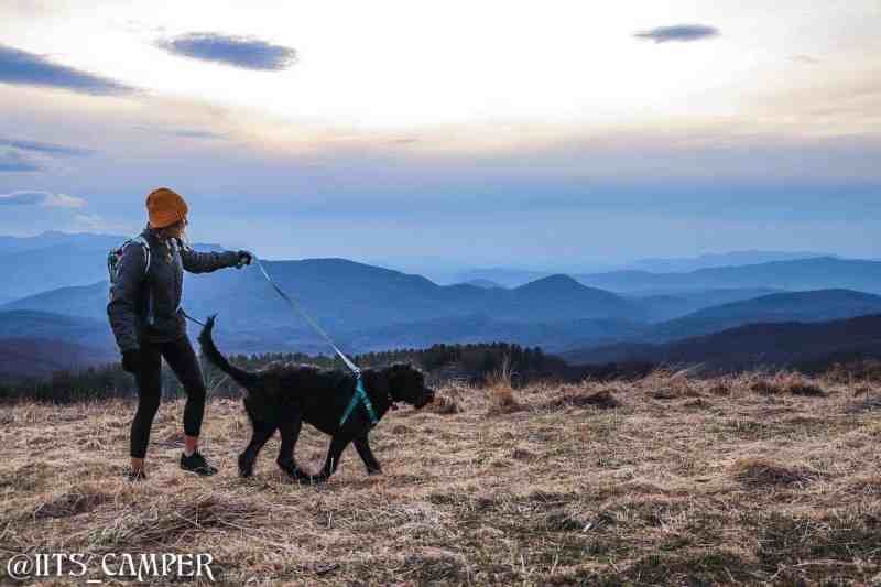 Dog Friendly Hiking Vacations