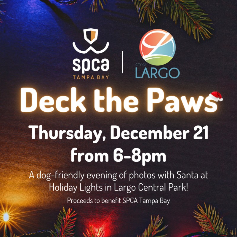 Dog Friendly Holiday Events Near Me