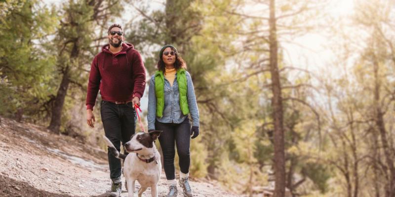 Dog Friendly Lodging Near June Lake Ca