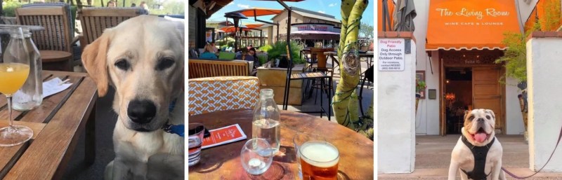 Dog Friendly Restaurants Near Me With Patio