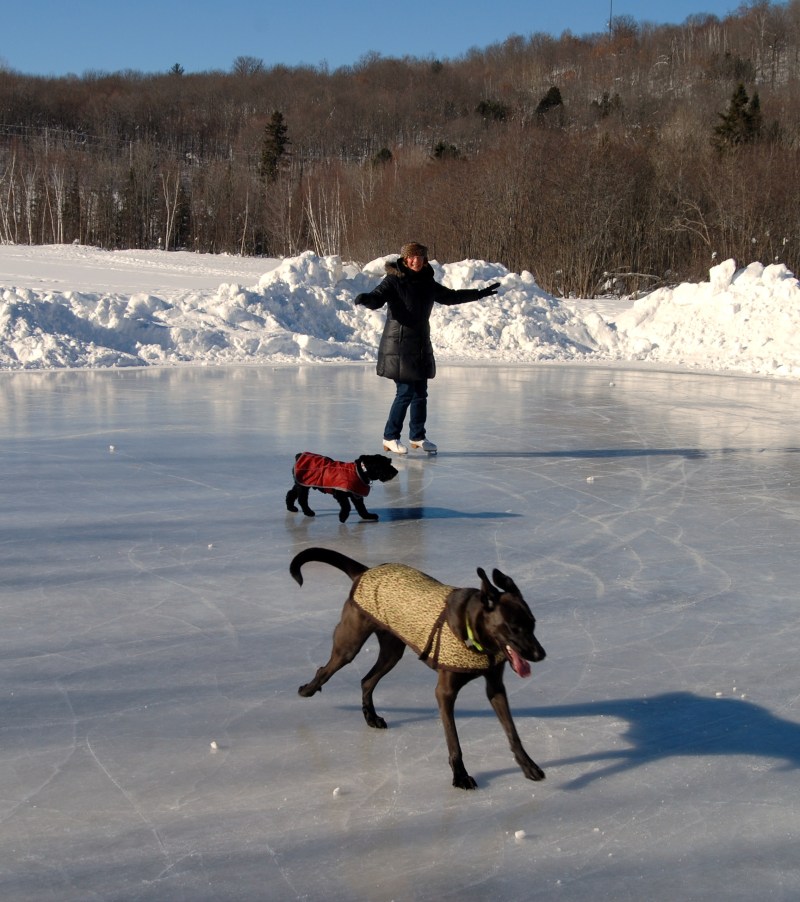 Dog Friendly Ski Resorts North Carolina