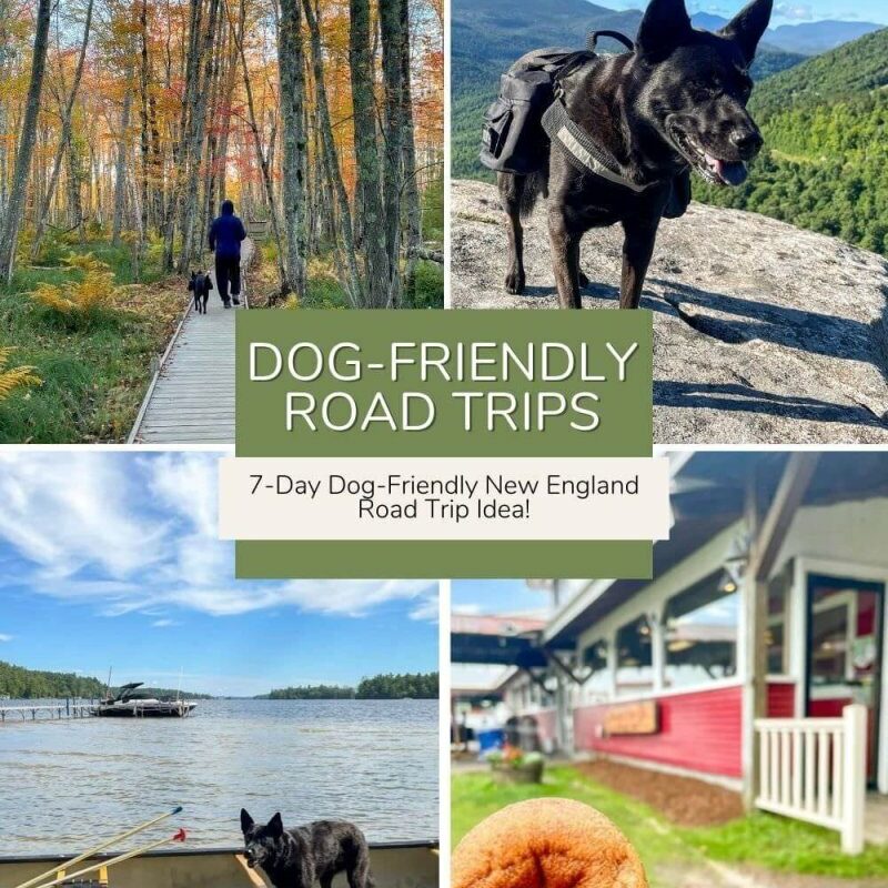 Dog Friendly Vacations In Northeast