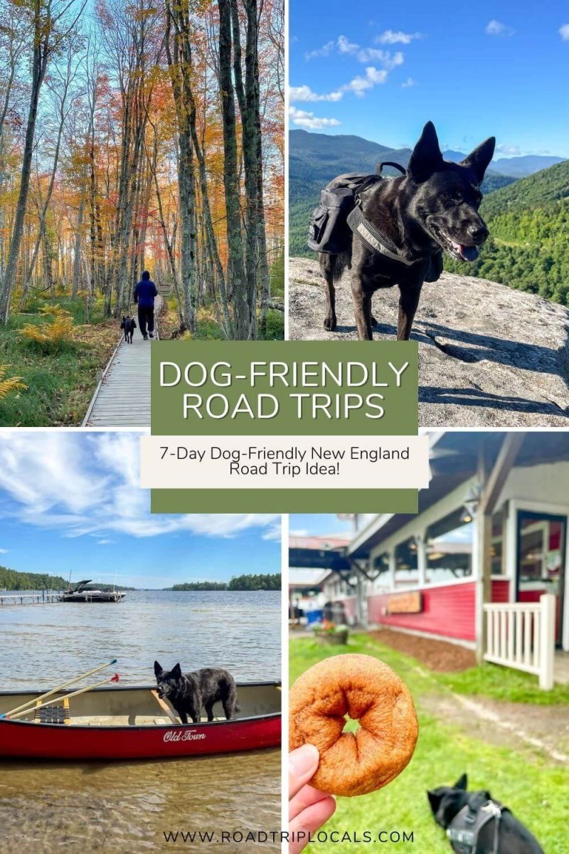 Dog Friendly Vacations In Northeast