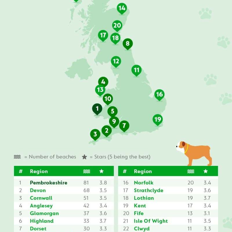 Best Dog Friendly Beaches Anglesey