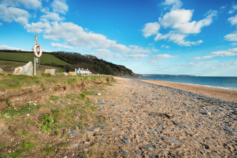 Best Dog Friendly Beaches Devon