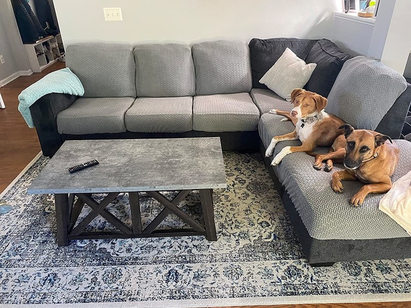 Best Dog Friendly Couches