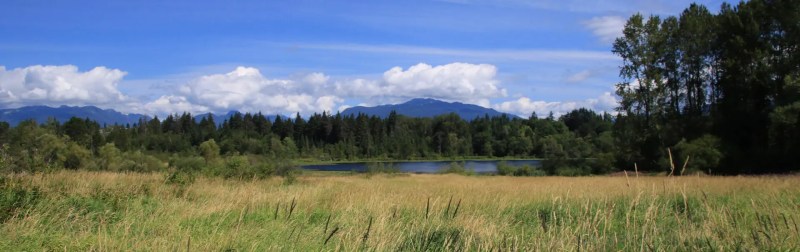 Best Dog Friendly Hikes Vancouver