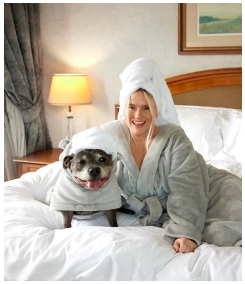 Best Dog Friendly Hotels