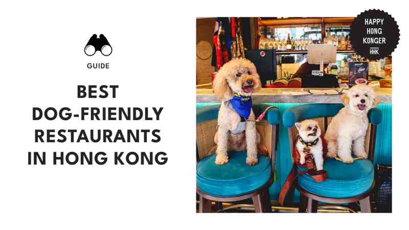 Best Dog Friendly Sunday Lunch Near Me