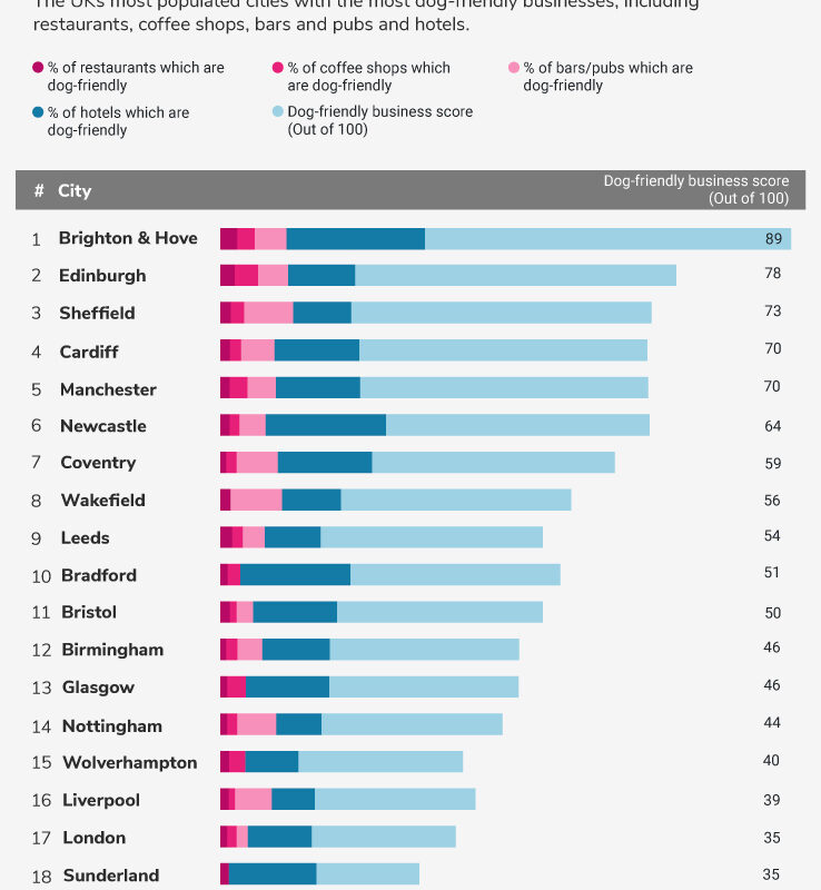 Best Dog Friendly Towns Uk