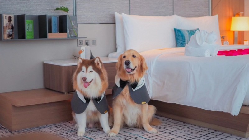 Best Pet Friendly Resorts Near Manila