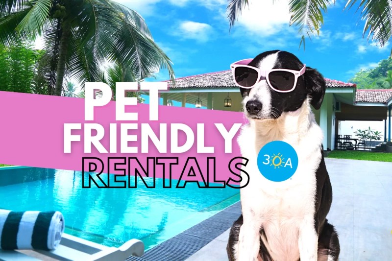 Best Pet Friendly Vacation Rentals