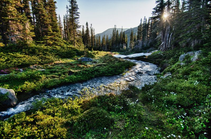 Best Winter Hikes In Olympic National Park