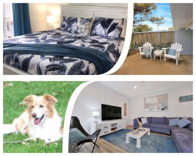 Dog Friendly Cabin Qld