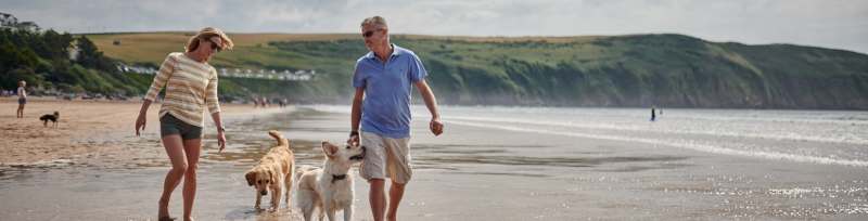 Dog Friendly Trips Uk