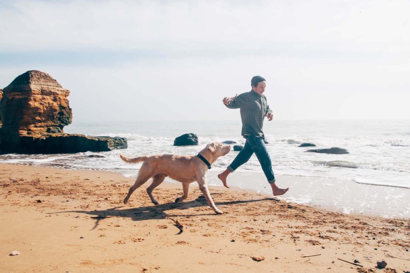 Dog Friendly Vacations North Carolina