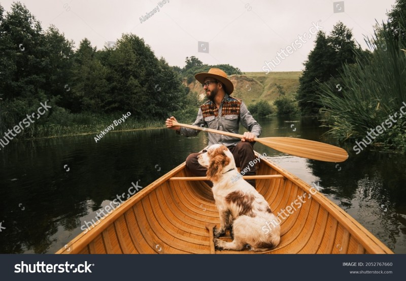 Vacation Dog Scene