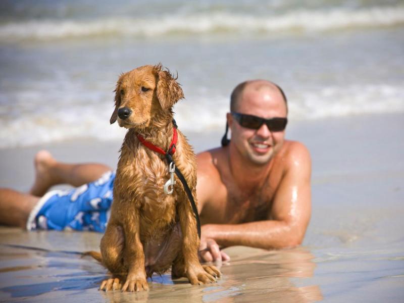 Vacations For Dogs And Their Owners